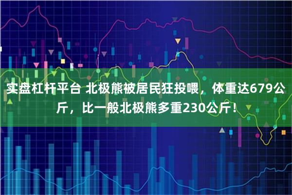 实盘杠杆平台 北极熊被居民狂投喂，体重达679公斤，比一般北极熊多重230公斤！
